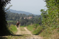 Promenades et randonnées à cheval